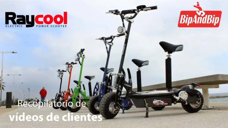 Batería patinete eléctrico raycool 1000w